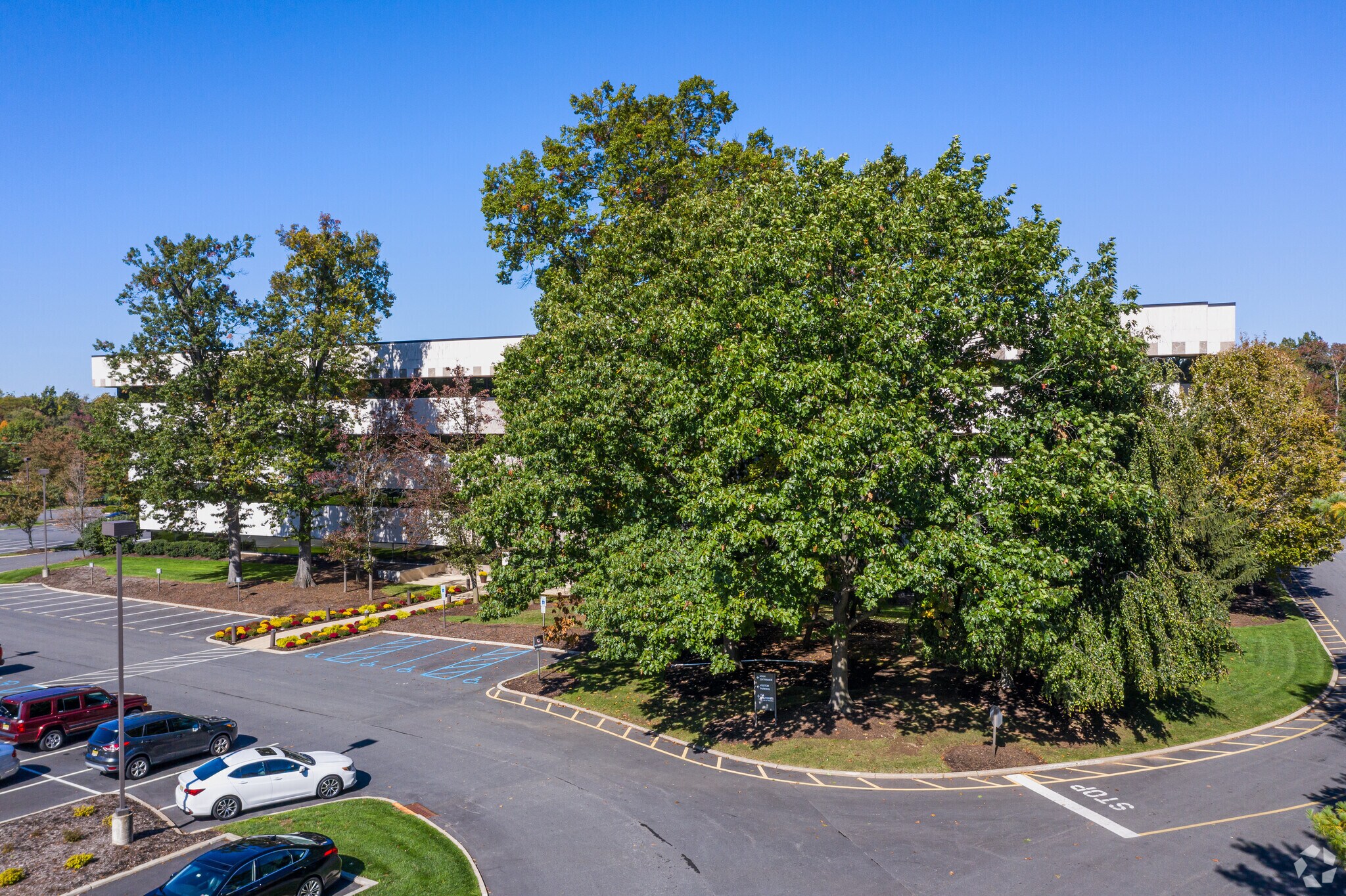 4 Becker Farm Rd, Roseland, NJ 07068 Office for Lease