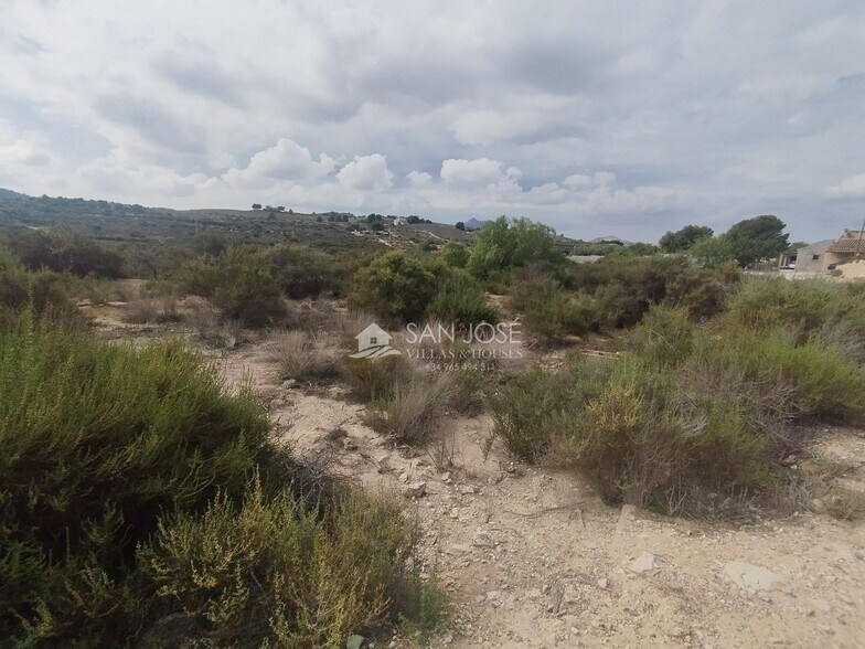 Land in HONDÓN DE LAS NIEVES for sale - Building Photo - Image 2 of 6