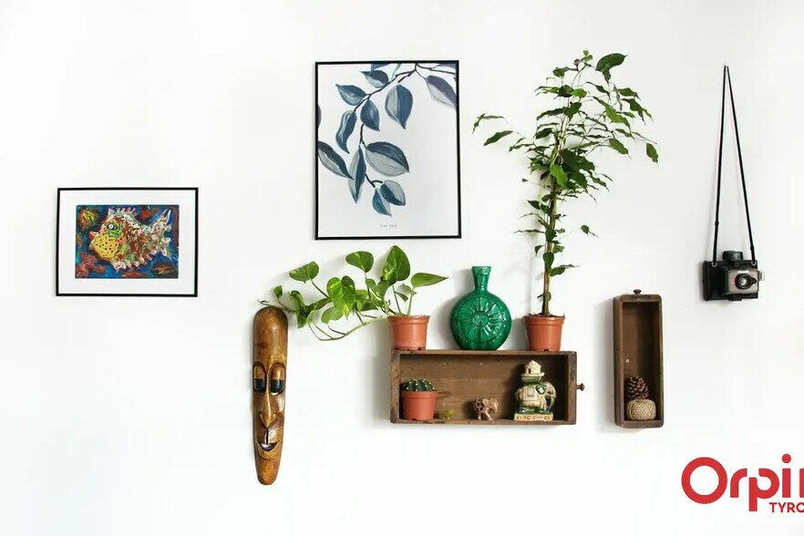 Retail in Capbreton for lease - Interior Photo - Image 3 of 3