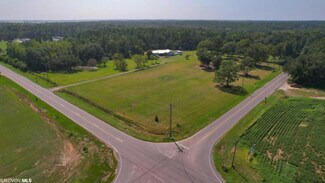 More details for 14700 County Road 26, Foley, AL - Land for Sale