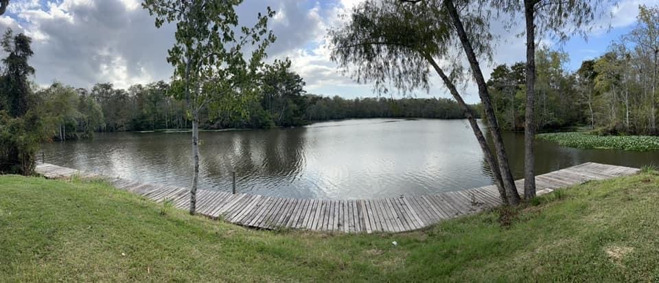 20401 Perrin Ferry Rd, Springfield, LA for sale Primary Photo- Image 1 of 7