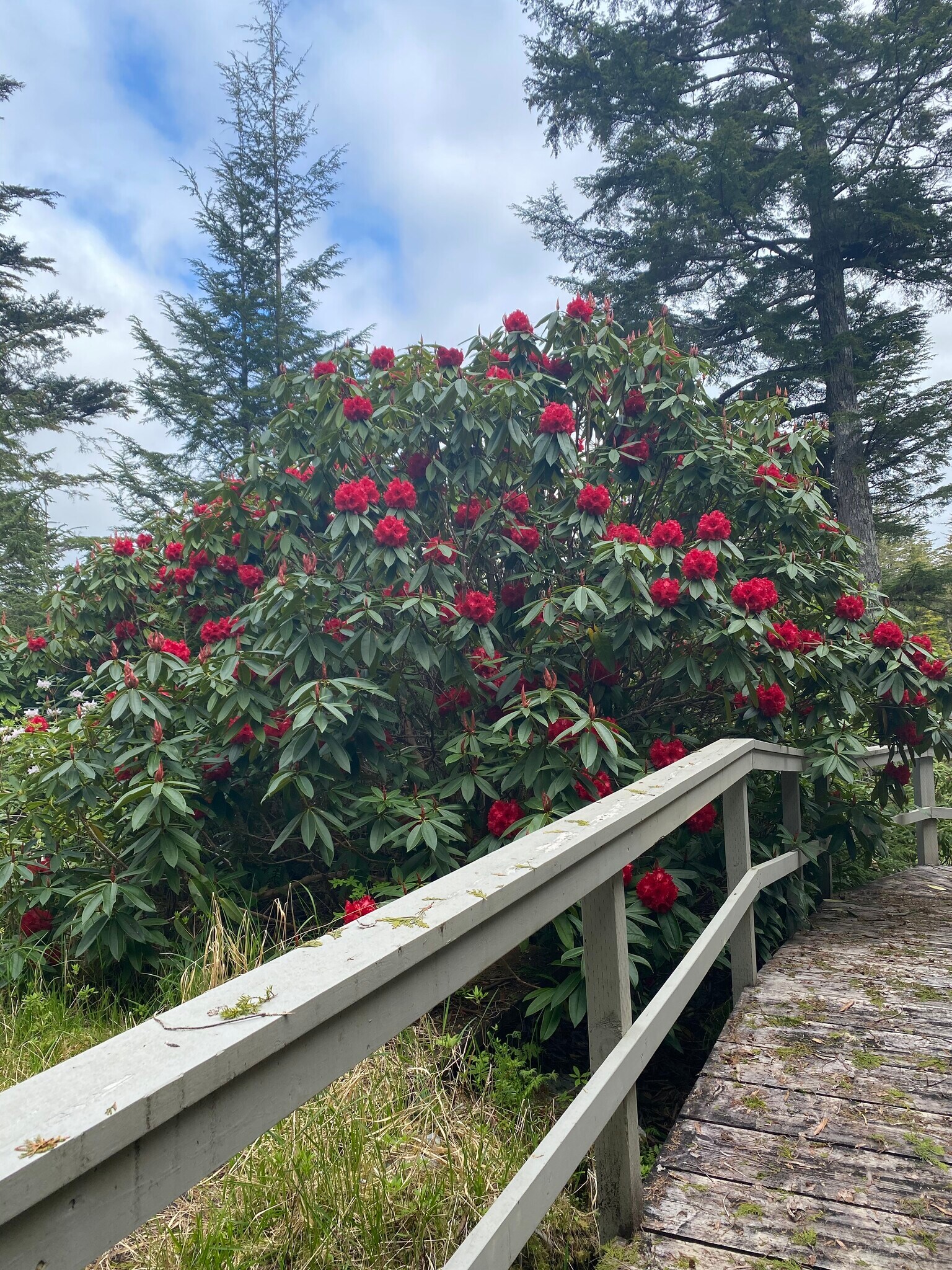 Big Gull Island, Sitka, AK 99835 Big Gull Island