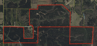 More details for 770 Williams Lane Rd, Shiloh, GA - Land for Sale