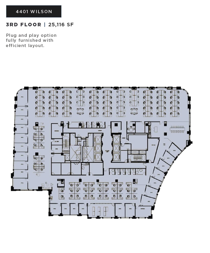4401 Wilson Blvd, Arlington, VA for lease Floor Plan- Image 1 of 7