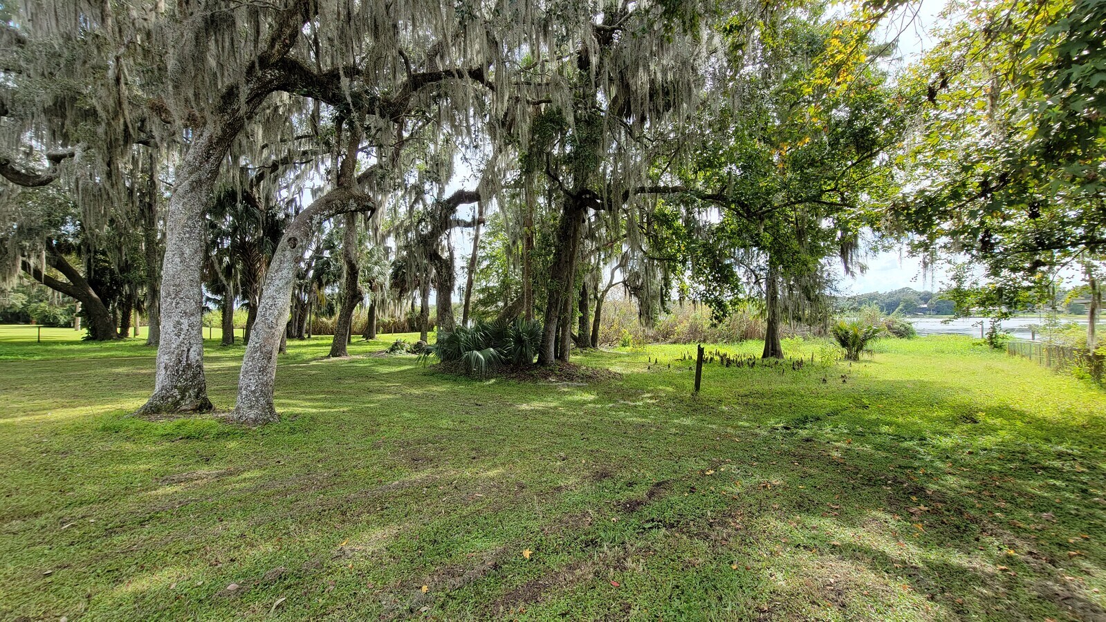 1350 Lakeview Dr, Deland, FL 32720