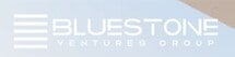 Bluestone Ventures Group
