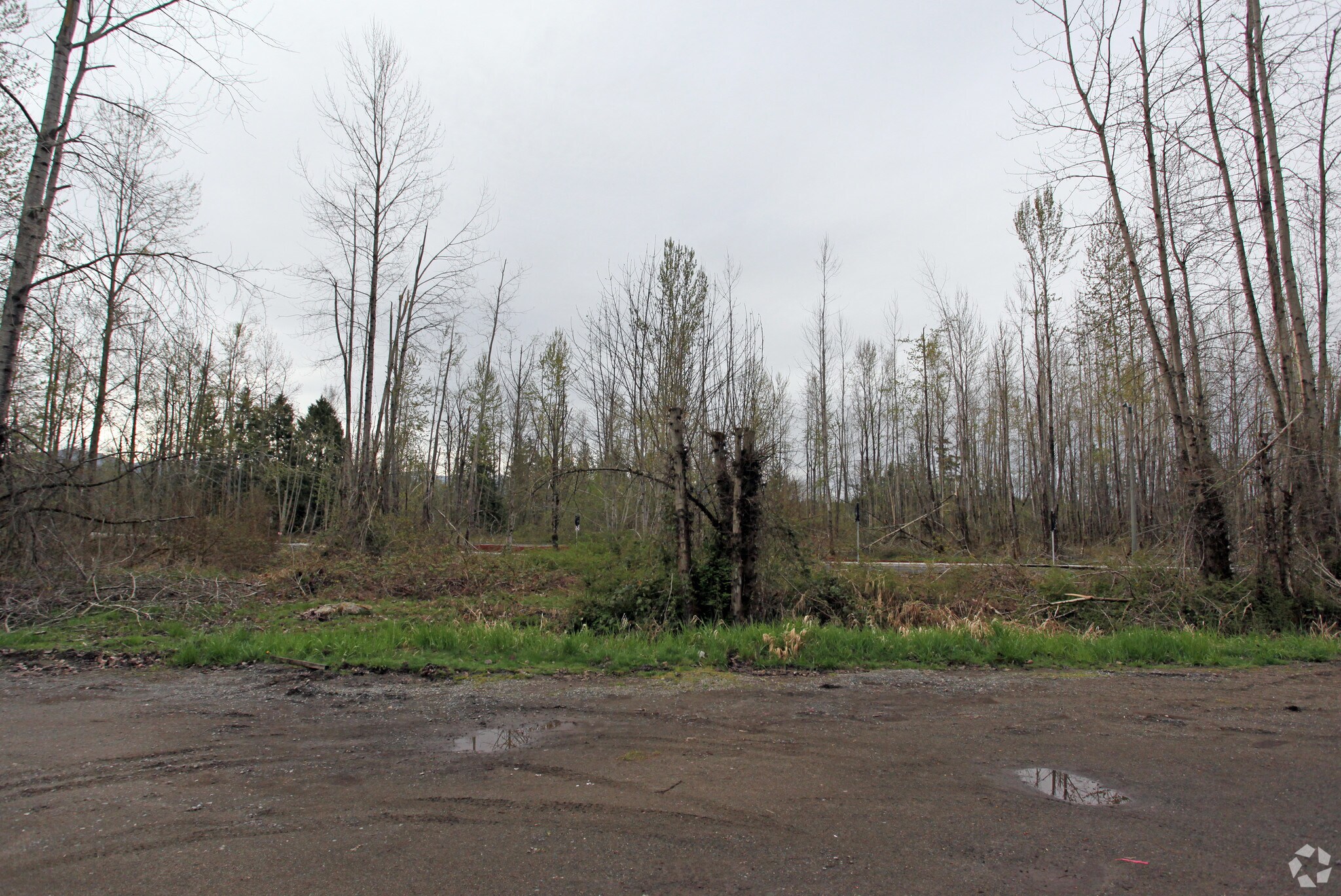 SR165 Hwy E, Buckley, WA for sale Primary Photo- Image 1 of 1