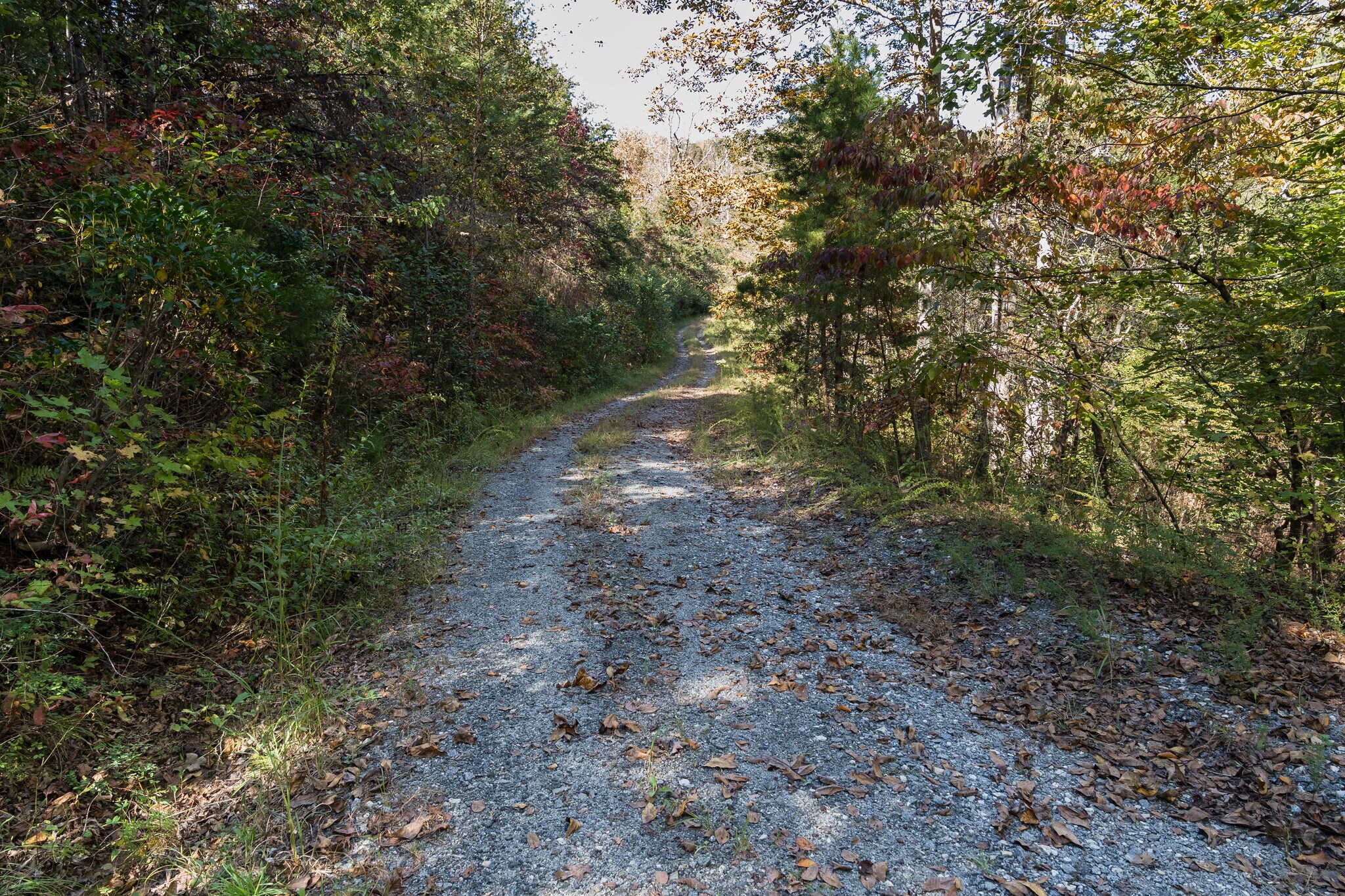 2145 Bill Collins Rd, Columbus, NC for sale Primary Photo- Image 1 of 1