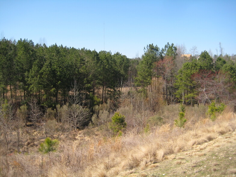 US 1 & NC HWY 96, Youngsville, NC for sale - Building Photo - Image 2 of 2