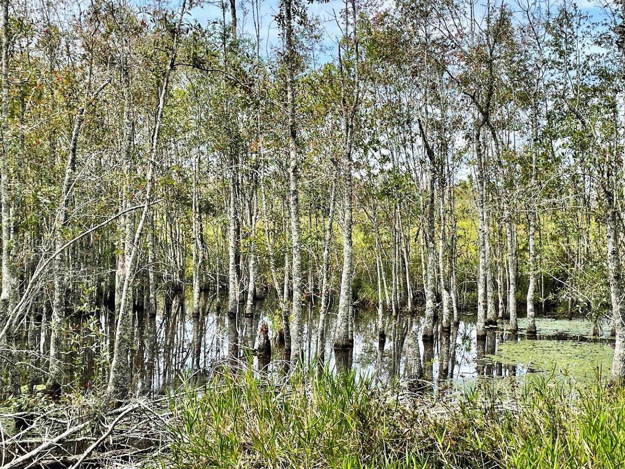 Salem Church, Rochelle, GA for sale Other- Image 1 of 1