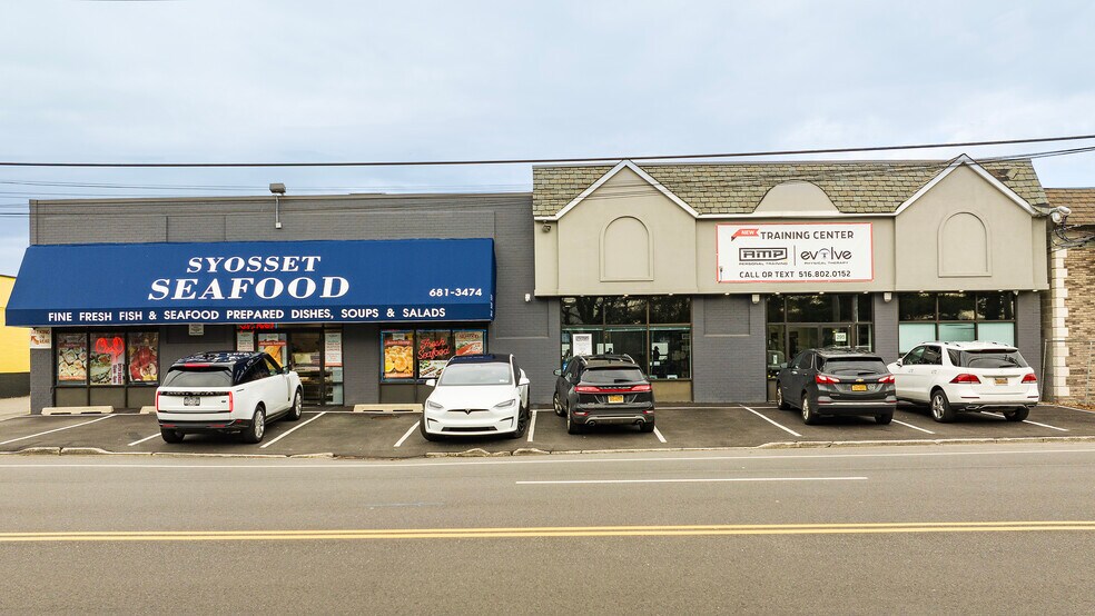 293-295 Robbins Ln, Syosset, NY for sale - Primary Photo - Image 1 of 1