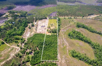 17614 Lanes Bridge Rd, Odum, GA - AERIAL  map view - Image1