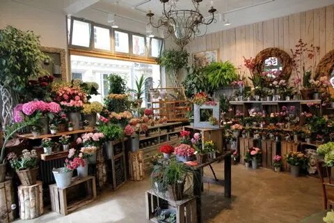 Retail in Fréjus for lease Building Photo- Image 1 of 6