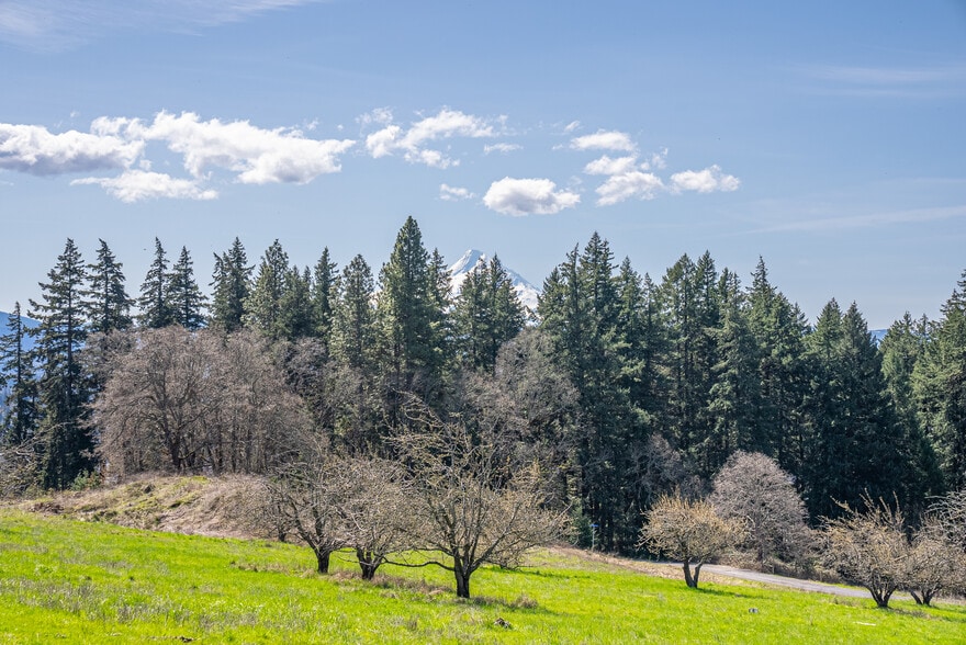 SW Cherry Blossom Lane, White Salmon, WA for sale - Building Photo - Image 3 of 11