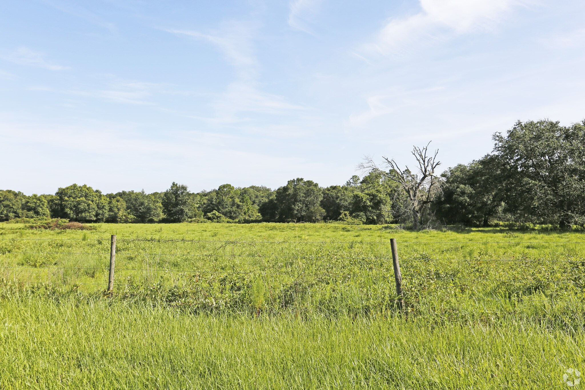 NW Highway 70, Arcadia, FL for sale Primary Photo- Image 1 of 1