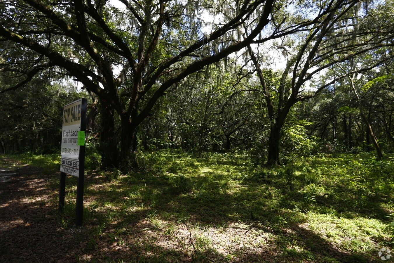 339 Pauls Dr, Brandon, FL 33509