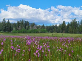 Mitchell's Mountain Meadows - Wedding Venue