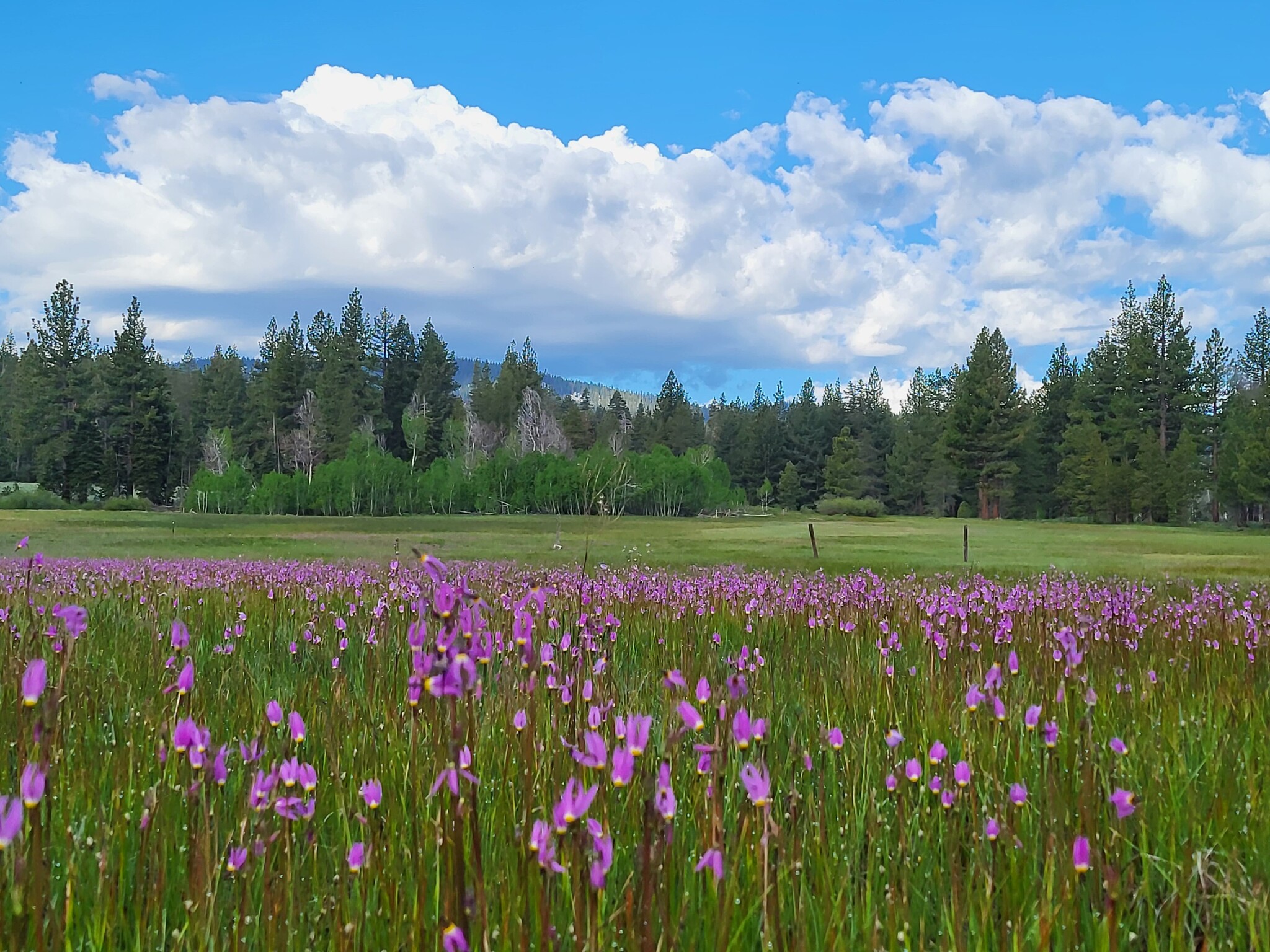 320 Independence Lake Rd, Sierraville, CA for sale Building Photo- Image 1 of 41