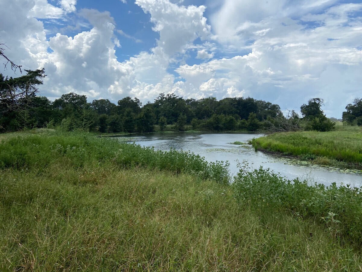 1116 Hwy 290 W, Carmine, TX 78932