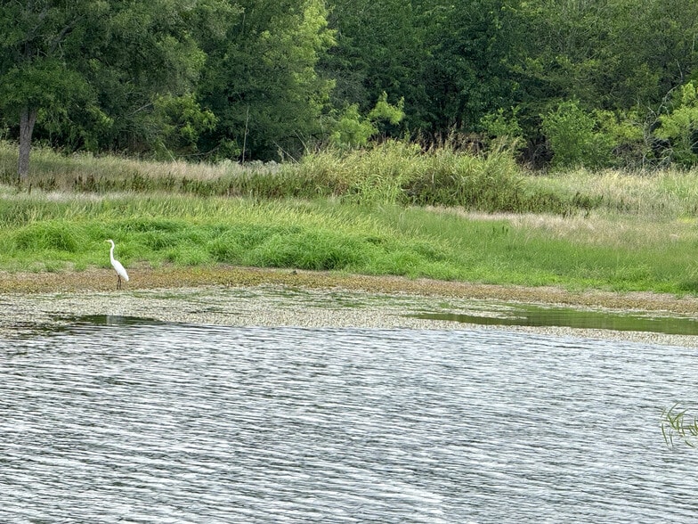 11503 Parsons Rd, Manor, TX for sale - Other - Image 3 of 14