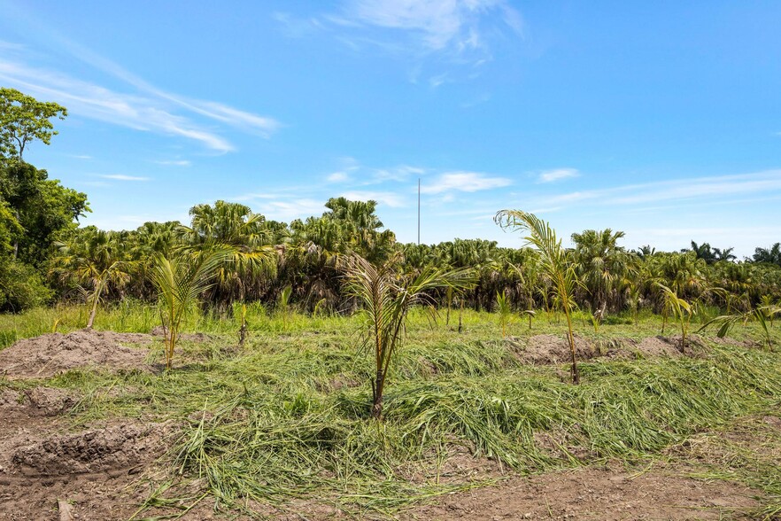 26245 SW 162nd Ave, Homestead, FL for sale - Building Photo - Image 3 of 41