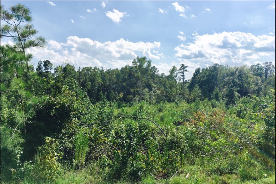 NC Hwy 24 87, Cameron, NC for sale - Other - Image 3 of 15