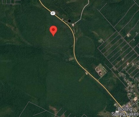 Highway 87, Boiling Spring Lakes, NC for sale - Primary Photo - Image 1 of 1