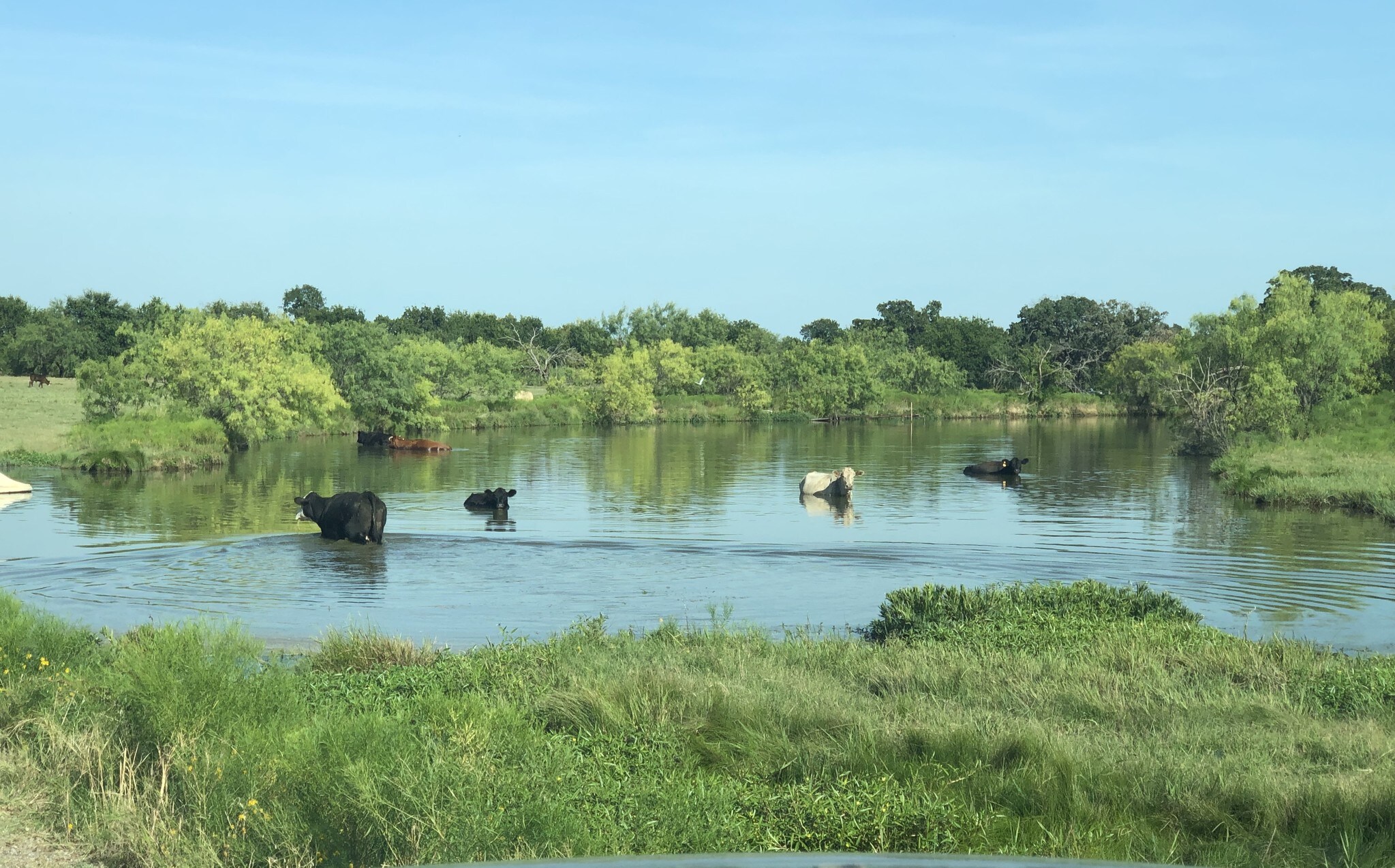 12383 Haynes Rd, Flower Mound, TX for sale Other- Image 1 of 1