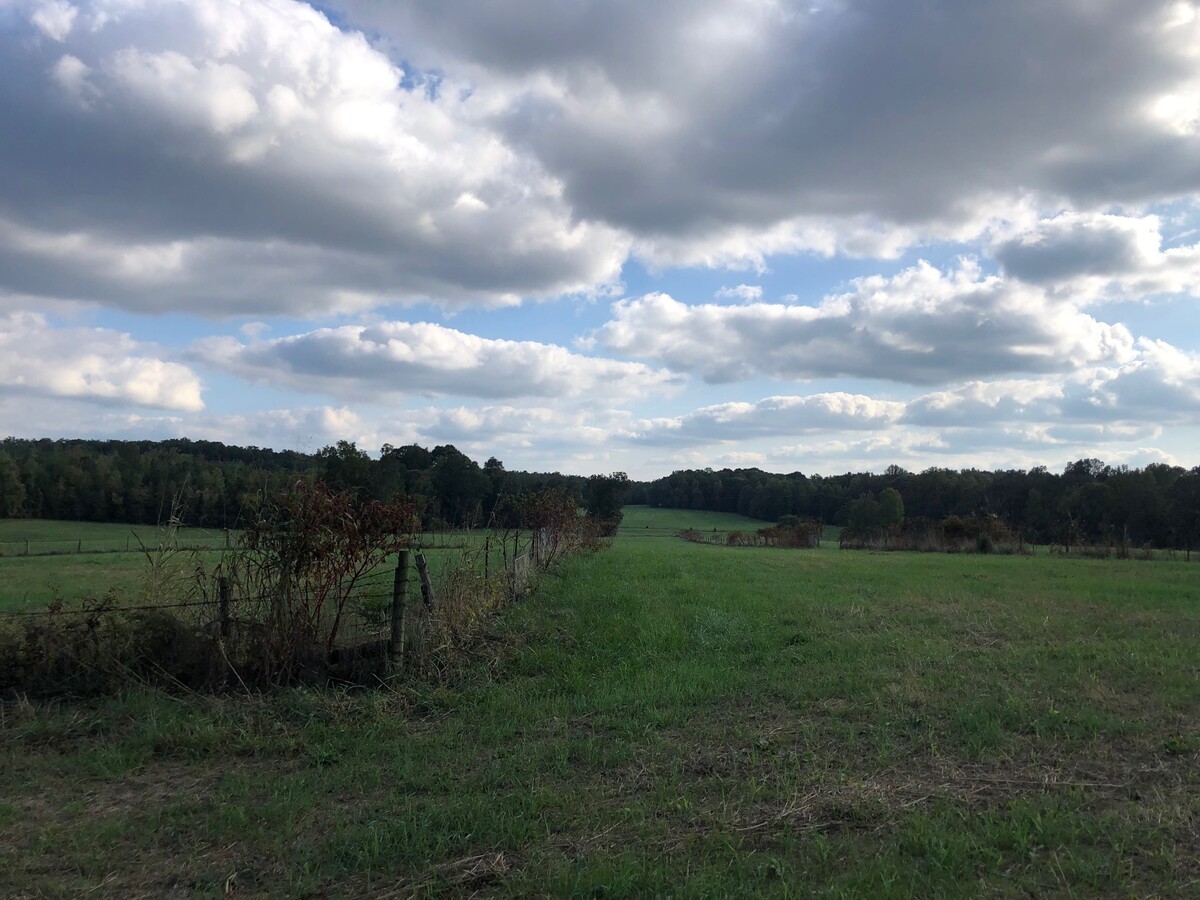 View Photo