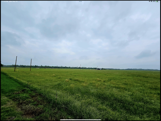 More details for Co Rd 337, Granger, TX - Land for Sale