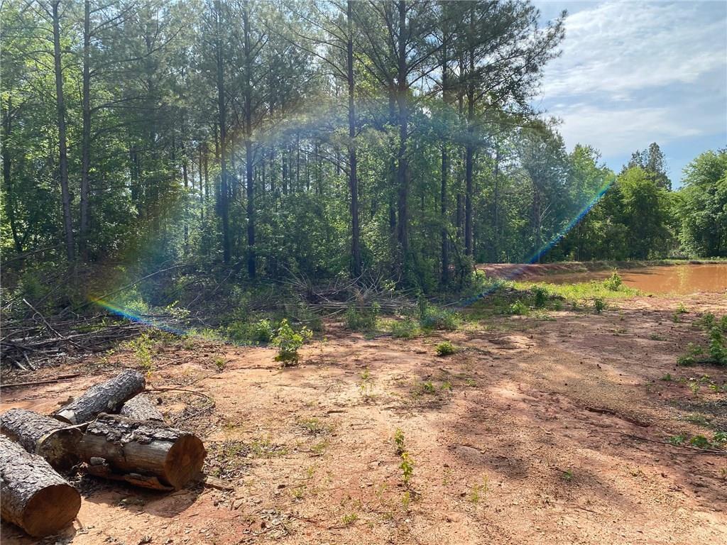 26 Lee Road 263, Opelika, AL for sale Building Photo- Image 1 of 1