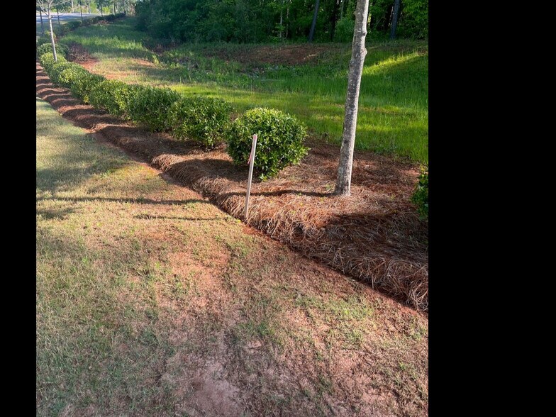 Lot 4 Timberbrook Drive, Sharpsburg, GA 30277 4 Timberbrook Sharpsburg, GA