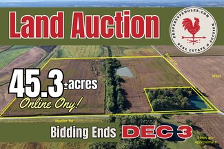 More details for MUELLER Rd, New Athens, IL - Land for Sale