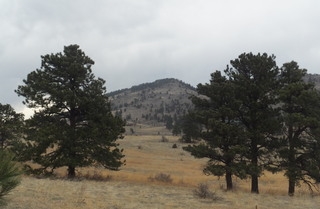 Snowy Ridge Rd, Evergreen, CO for sale - Primary Photo - Image 1 of 1