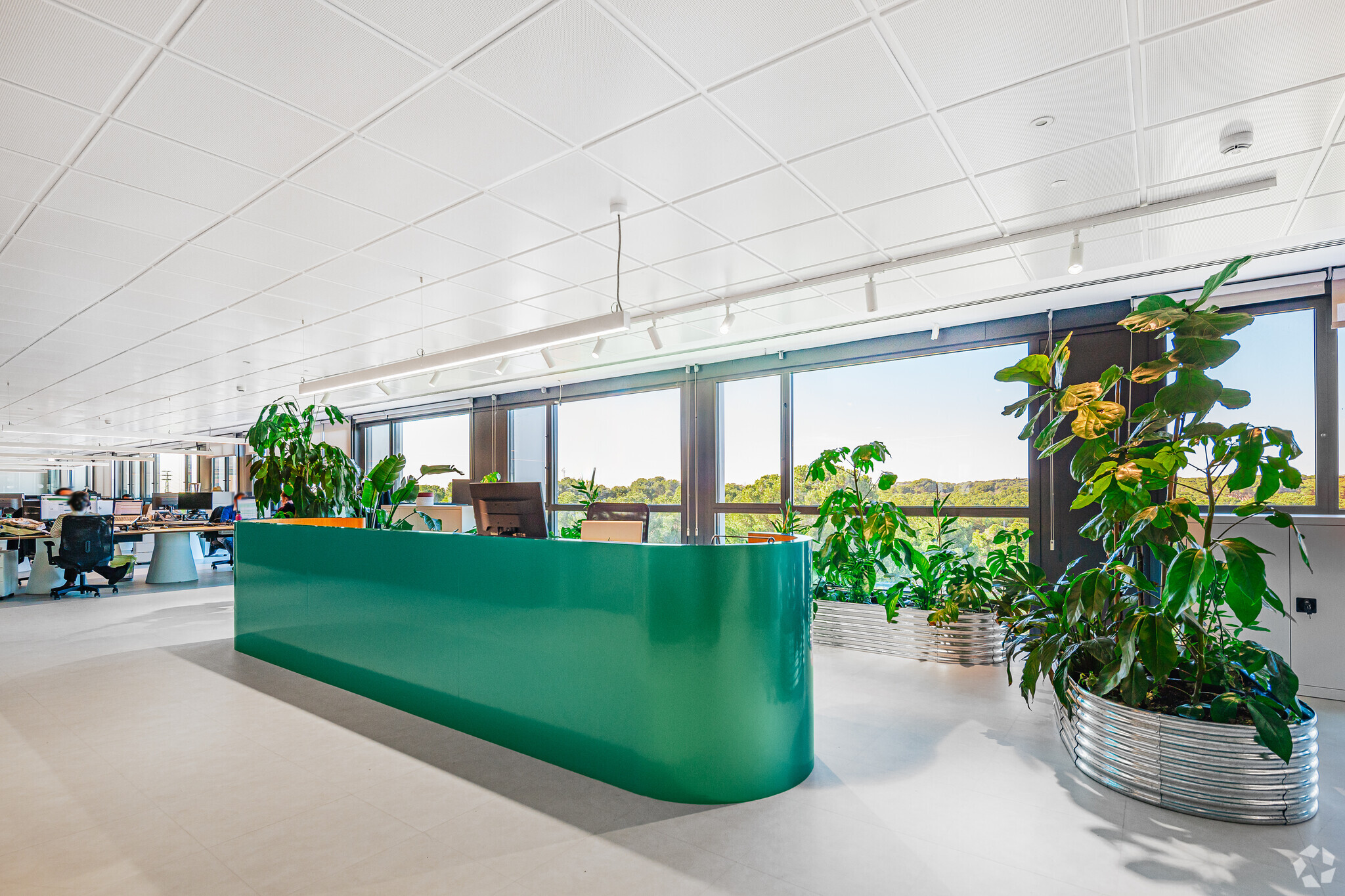 Camino Cerro de los Gamos, 1, Pozuelo de Alarcón, Madrid for lease Interior Photo- Image 1 of 8