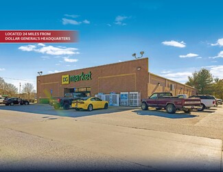 More details for 3106 Hartsville Pike, Castalian Springs, TN - Retail for Sale