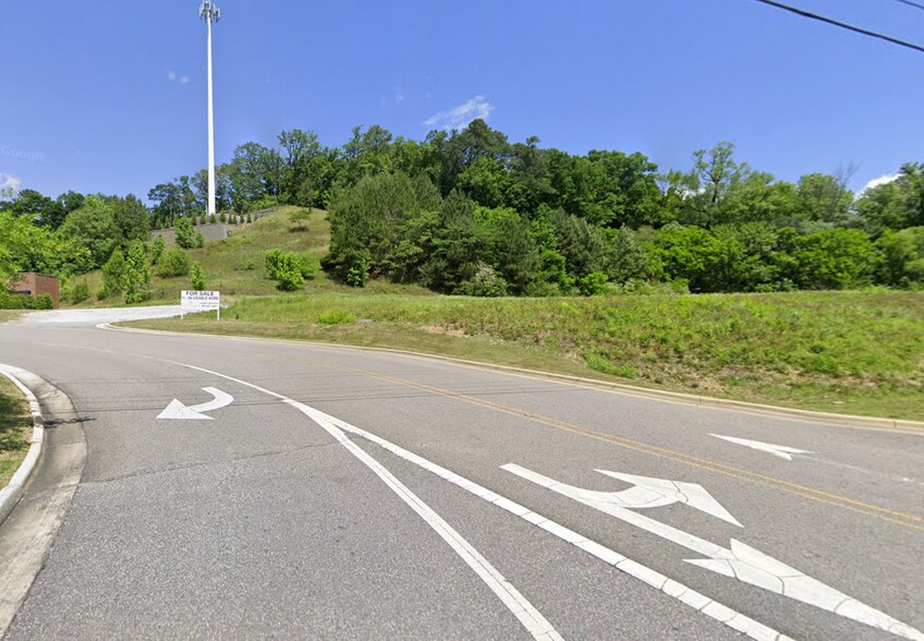 113 Simmsville Rd, Alabaster, AL 35007 Land Adjacent to Aldi