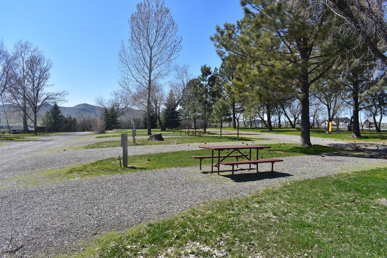 View Photo