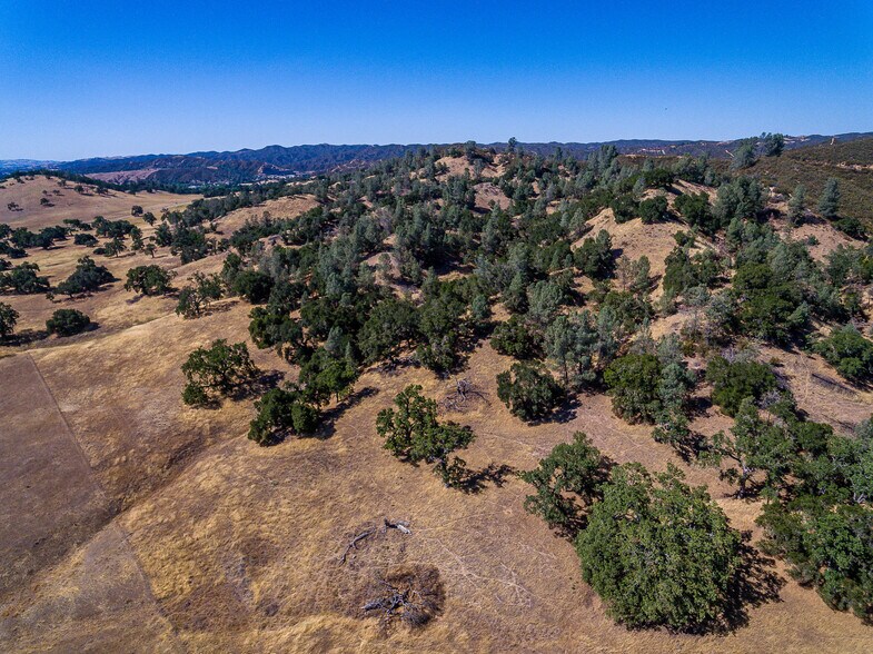7227 Calf Canyon, Santa Margarita, CA 93453