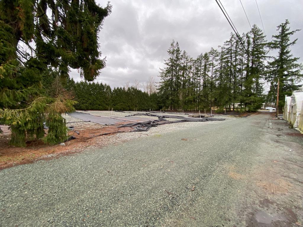 7181 264 St, Langley, BC for sale Primary Photo- Image 1 of 1