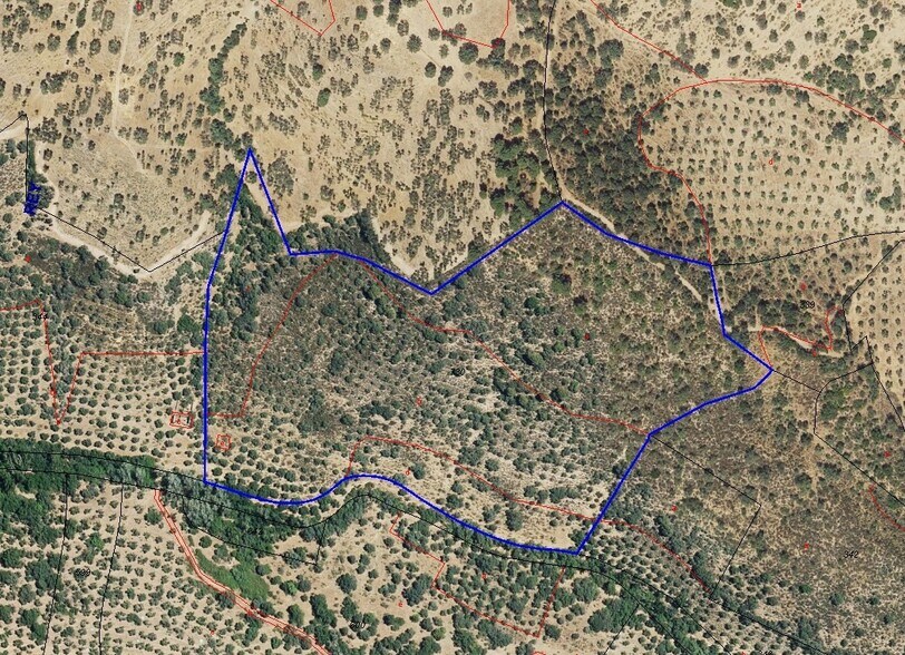 Parcela, 7, Villanueva del Rey, Córdoba for sale - Building Photo - Image 2 of 11