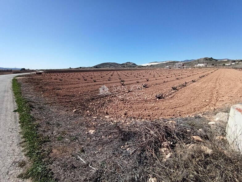 Land in PINOSO for sale - Building Photo - Image 3 of 3