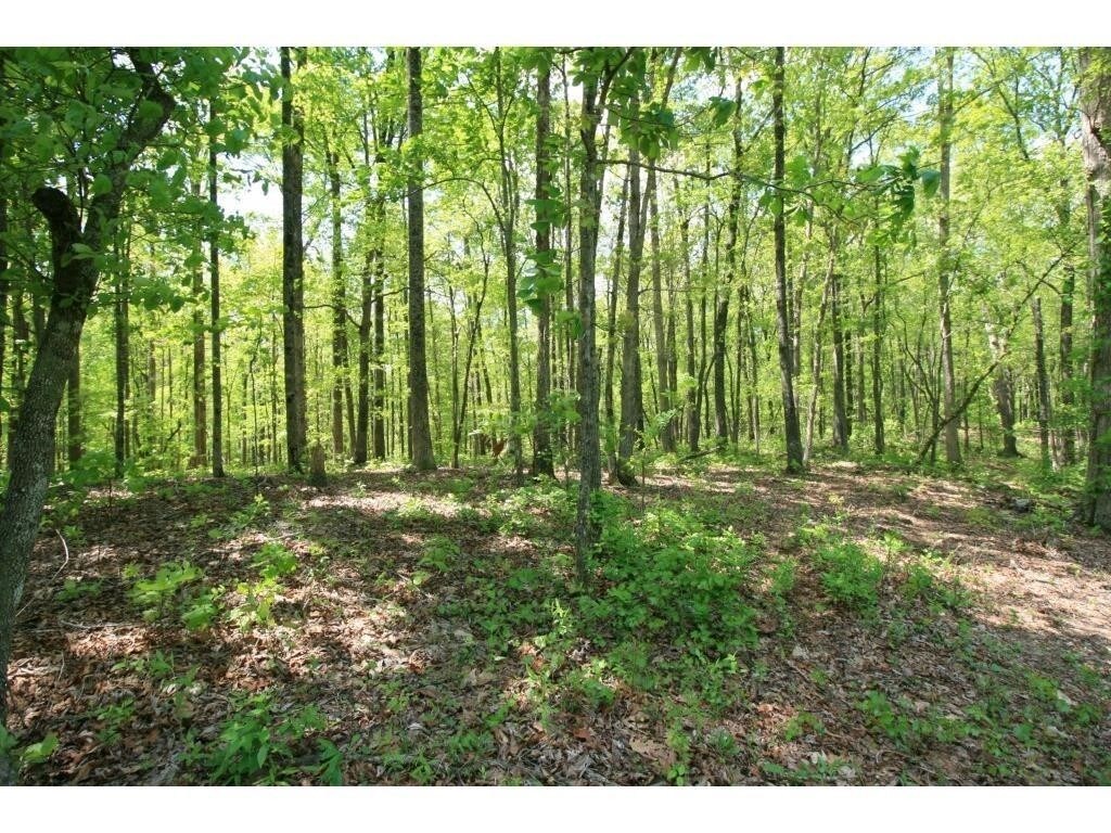 581 Grizzle Rd, Dawsonville, GA for sale Primary Photo- Image 1 of 1