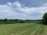 Browns Crossroads Rd, Staley, NC for sale - Building Photo - Image 3 of 3