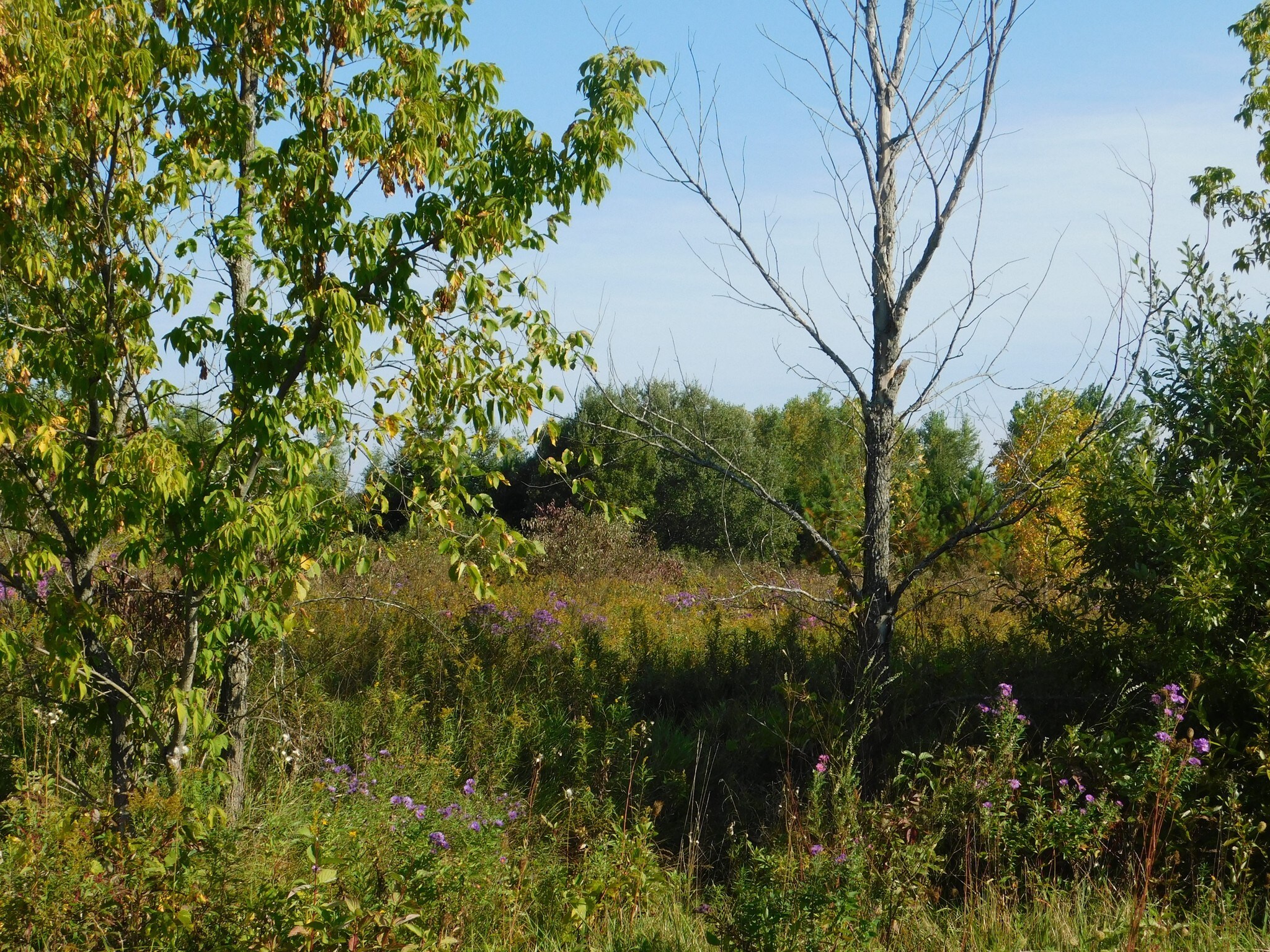3397 Cty Rd J, Abrams, WI for sale Building Photo- Image 1 of 1