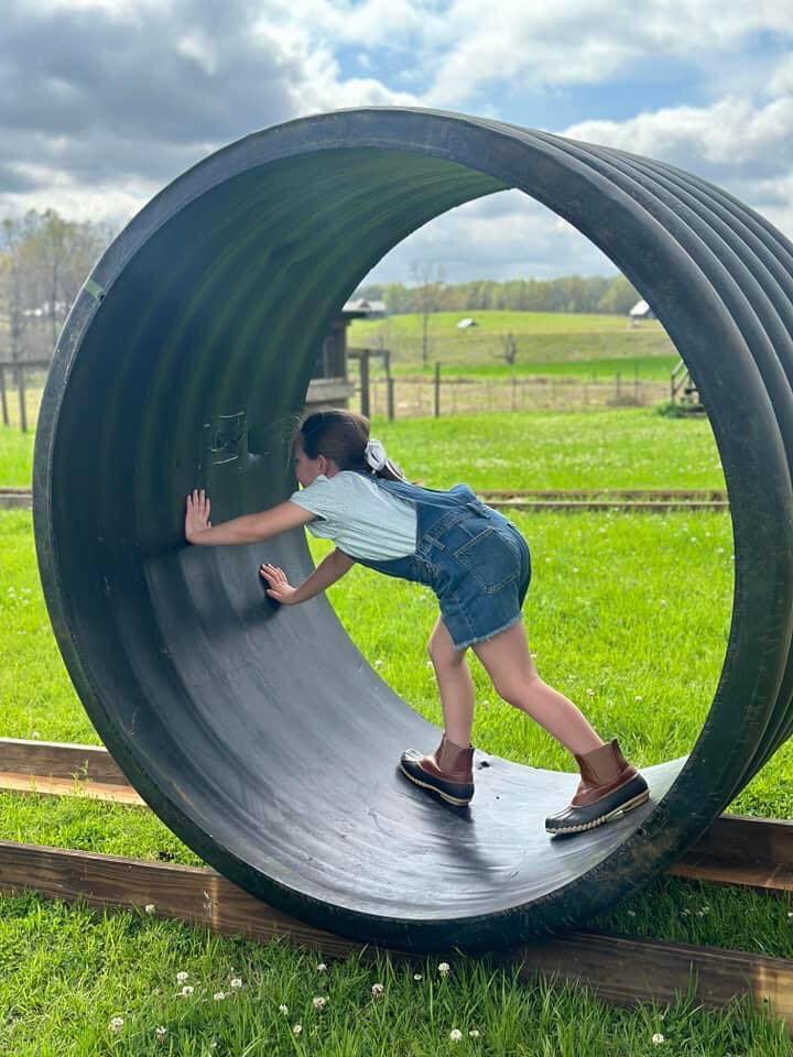 6313 County Road 7, Fitzpatrick, AL for sale Building Photo- Image 1 of 1