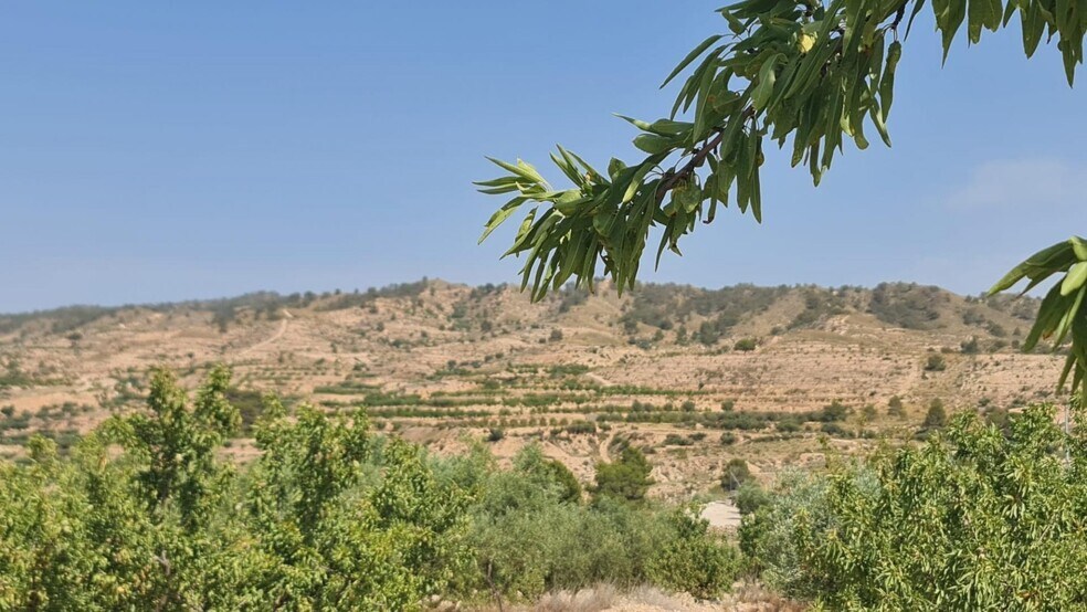 Land in Abanilla for sale - Building Photo - Image 3 of 10