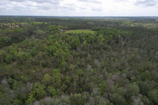 More details for 12960 County Road 48, Silverhill, AL - Land for Sale