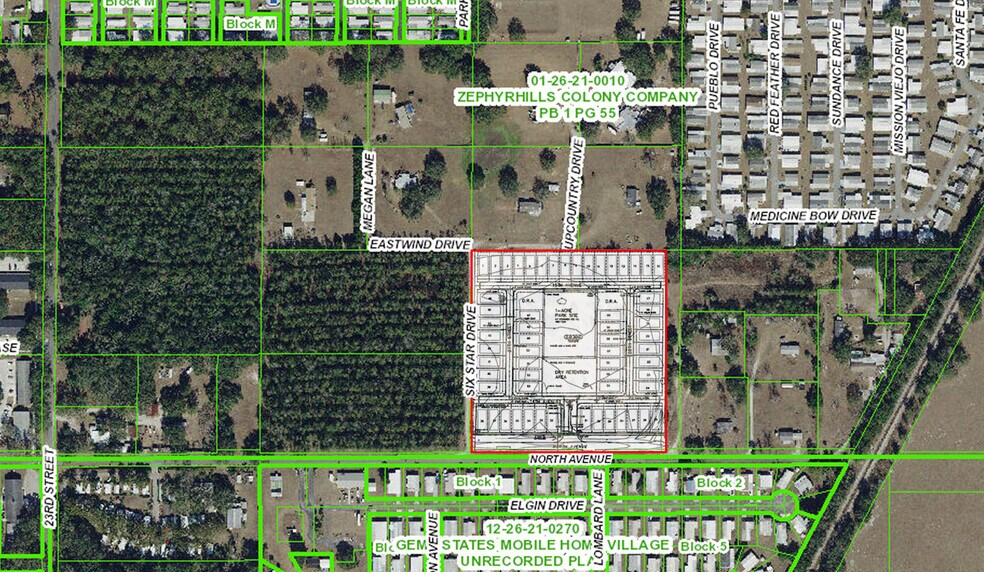 39575 North Ave, Zephyrhills, FL for sale - Building Photo - Image 1 of 1