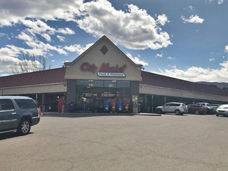 More details for 1011-1051 Highway 133, Carbondale, CO - Retail for Lease